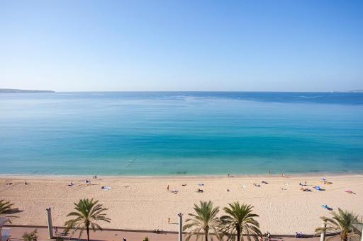 FERGUS Style Palma Beach - Adults Only - Housity