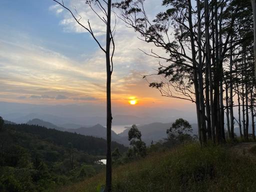 The Heavens Villa Kandy - Hizvo