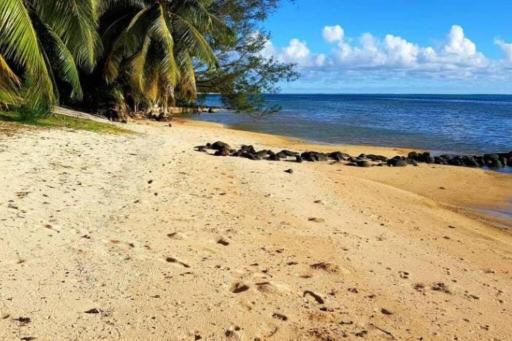 SUNSETVIEW, studio, private beach, amazing swim & sunset - Housity