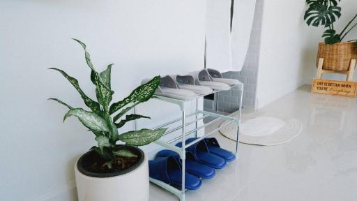 Bloomin' Moon hostel & cafe, Chiang Mai Old Town - Housity