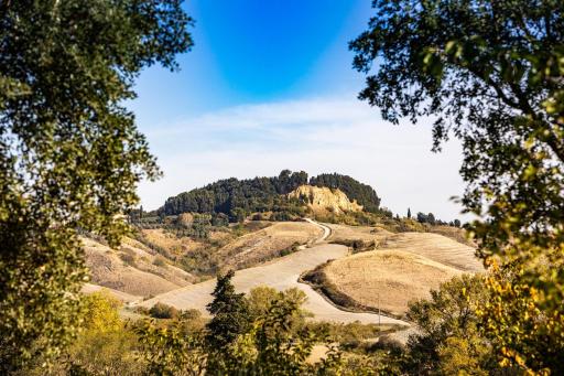 Appartamento in casale con piscina Casa I Pavoni - Housity