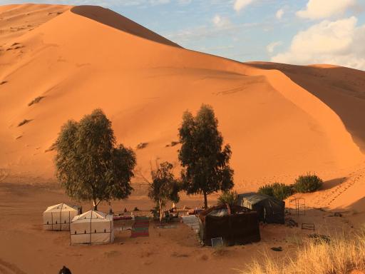 Nomadic Desert Camp Tours - Housity