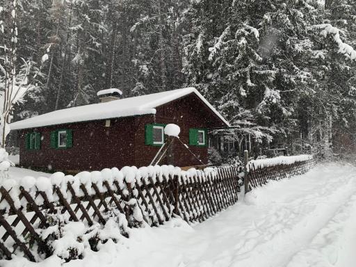Waldchalet am Eichhof - Housity