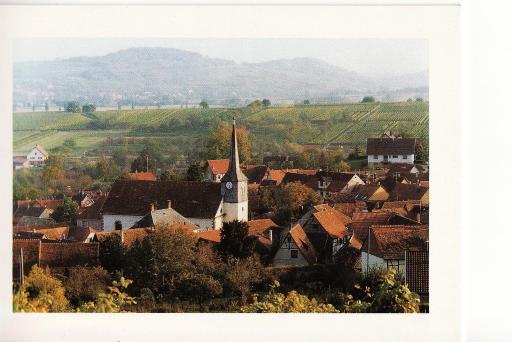 Les hirondelles - Housity