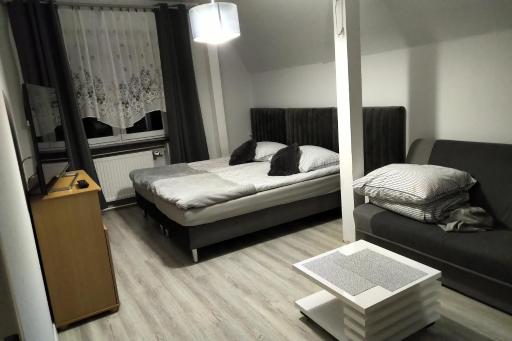 Willa Gorzow-spokojna okolica! - Housity