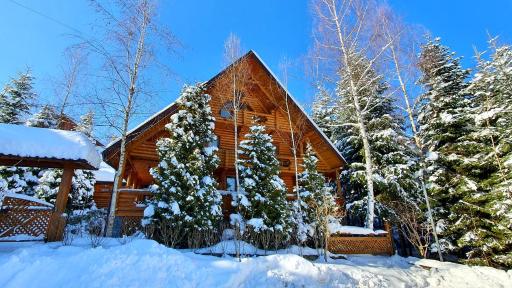 Gostynniy Dvir Коттеджи - Housity