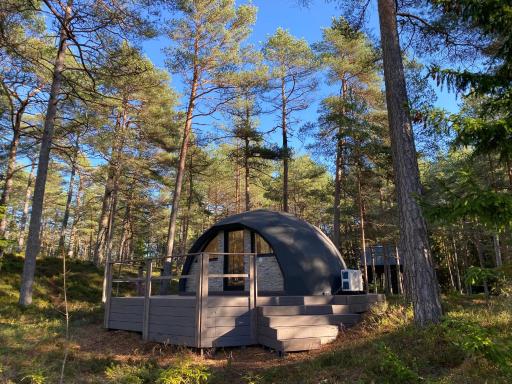 Pokemaja Nõva männimetsas - Housity
