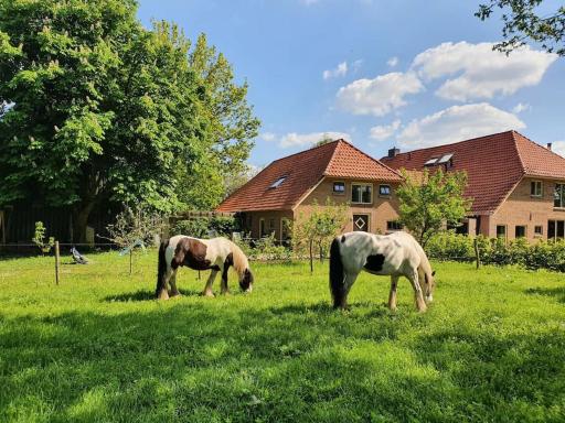 Leuk boerderijtje op prachtige plek, nabij natuurgebied - Housity