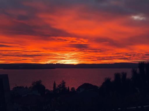 Ferienwohnung Mainausicht - Housity