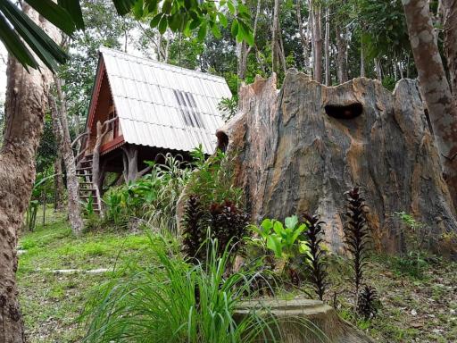 Treehouse Holidays-Little house - Housity