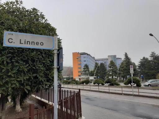 La Residenza di fronte all'Ospedale di Vittorio Veneto via Linneo - Housity