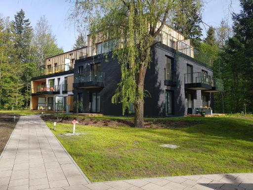 Serce Nieznanego Boru - Housity