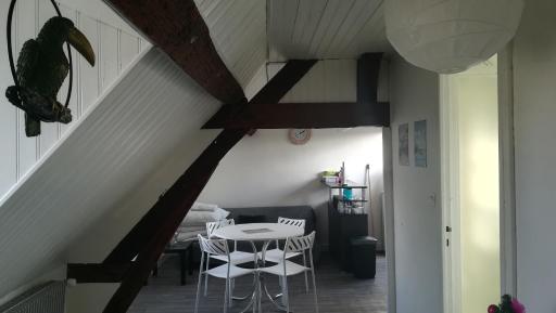 Appartement spacieux vue sur Loire proche du centre - Housity