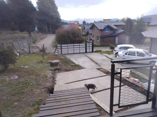 Lo de Lily - Hizvo