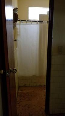 Quiet apartment at Delmas - Housity