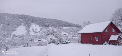 Olenka - Housity