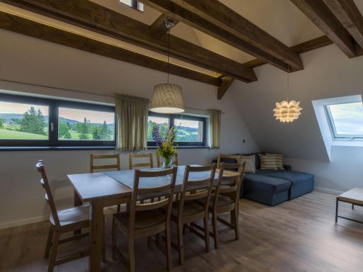 Apartmán pod Pustým vrchem - Housity