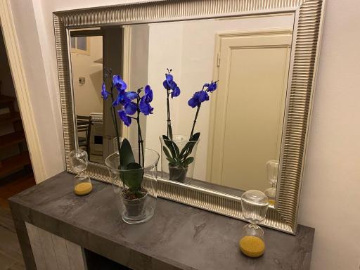Spiritoso Cozy Studio - Housity