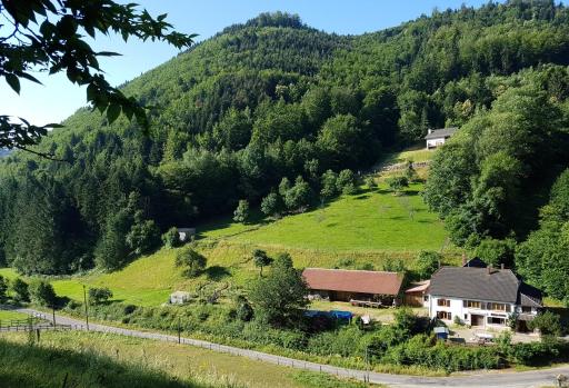 Gîte Le Creux Chêne - Housity