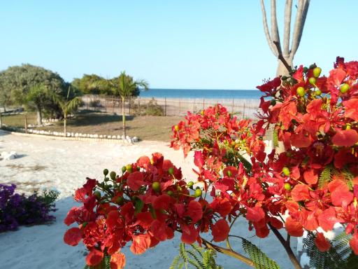 Villa Nature - Housity