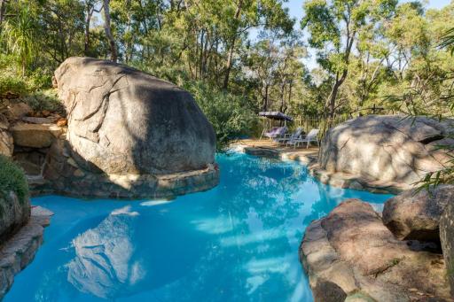 A Paradise for Dogs and A Magical Retreat for Hoomans - Housity