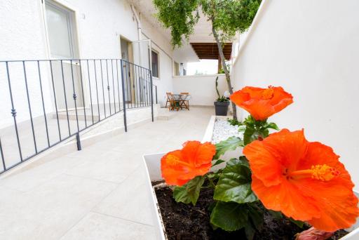 B&B Macchia Mediterranea - Housity