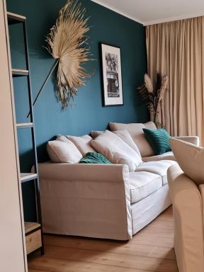 Saltwater Safari - Housity