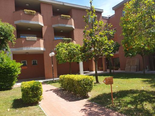 Ale's residence - Housity