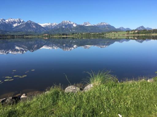 Ferienwohnung Allgäuer Landhaus Stocker in Hopferau-Füssen - Housity