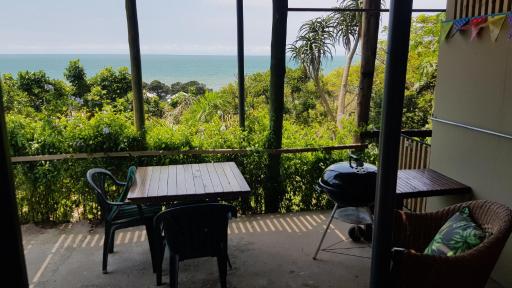 Ocean Rush Dolphin - Housity