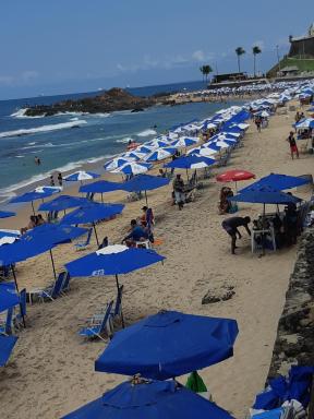 Tô em casa Porto da Barra - Housity