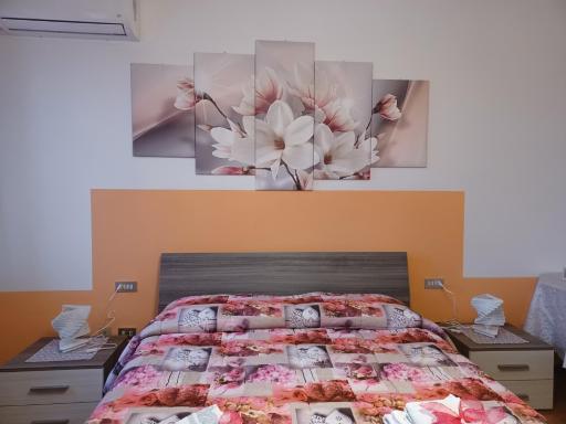 Quo Vadis Qui Vieni - Housity