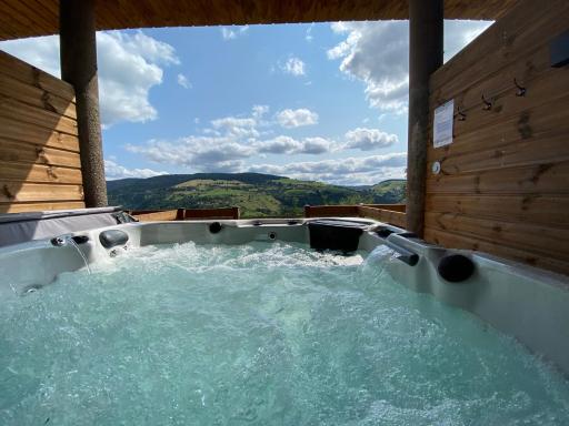 Ours Brun - Vue Panoramique La Bresse-Gerardmer - Housity