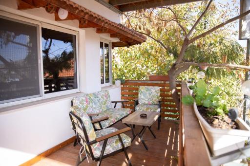 Star Suite - Rural experience - Northeast point - Housity