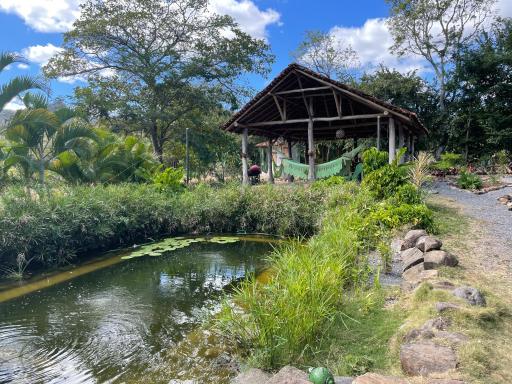 Casa Girasol Bed & Breakfast + Tours - Housity