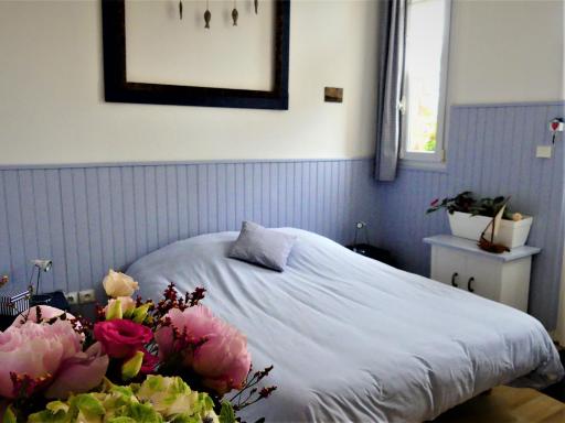 Pony Sweet Home - Housity