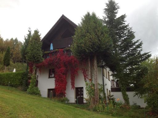Ferienwohnung Waldblick - a62086 - Housity