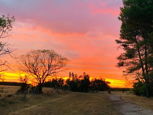 Estancia turística El Ombú - Housity