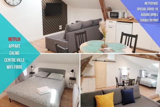 Le NOTRE DAME - HYPER CENTRE - WIFI - NETFLIX - Housity