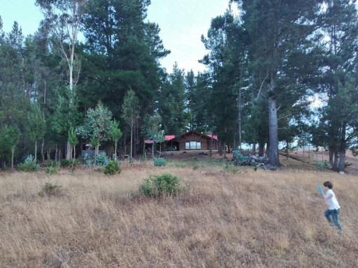 Casa en hermosa parcela a 40 minutos de Concepcion - Housity