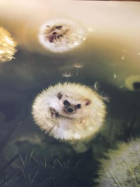 Félix Le Renfrogné Aubagne-Cassis-Aix en Provence - Housity