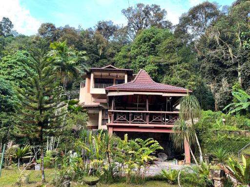 Purimai Jungle House in the heart of Kuala Lumpur - Housity