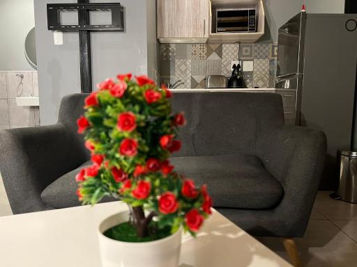 Unique Loft apartment in Marshalltown - Housity