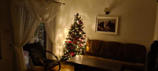 Apartament Kazimierza Wielkiego - Housity