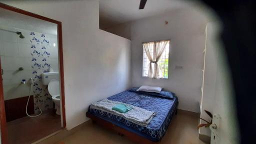 Elis Homestay - Housity