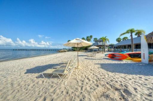 Beautiful one bedroom resort-style studio with pool and beach access - Housity