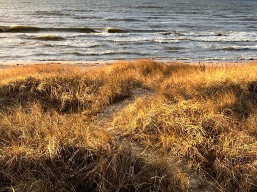 Ragares - the greatest beach house near the Baltic sea - Housity