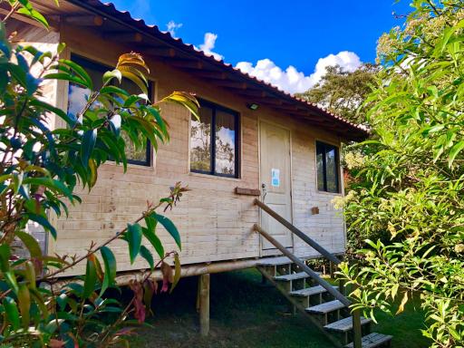 Crisantema 2 - Housity