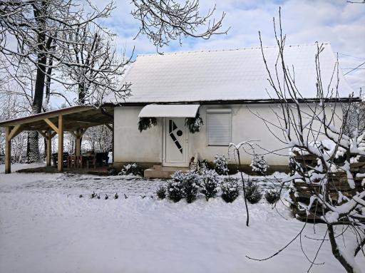 Hotel Окремий Будинок-Апартаменти - Housity