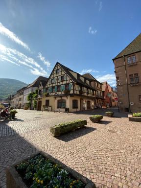 Coeur d'alsace - Housity